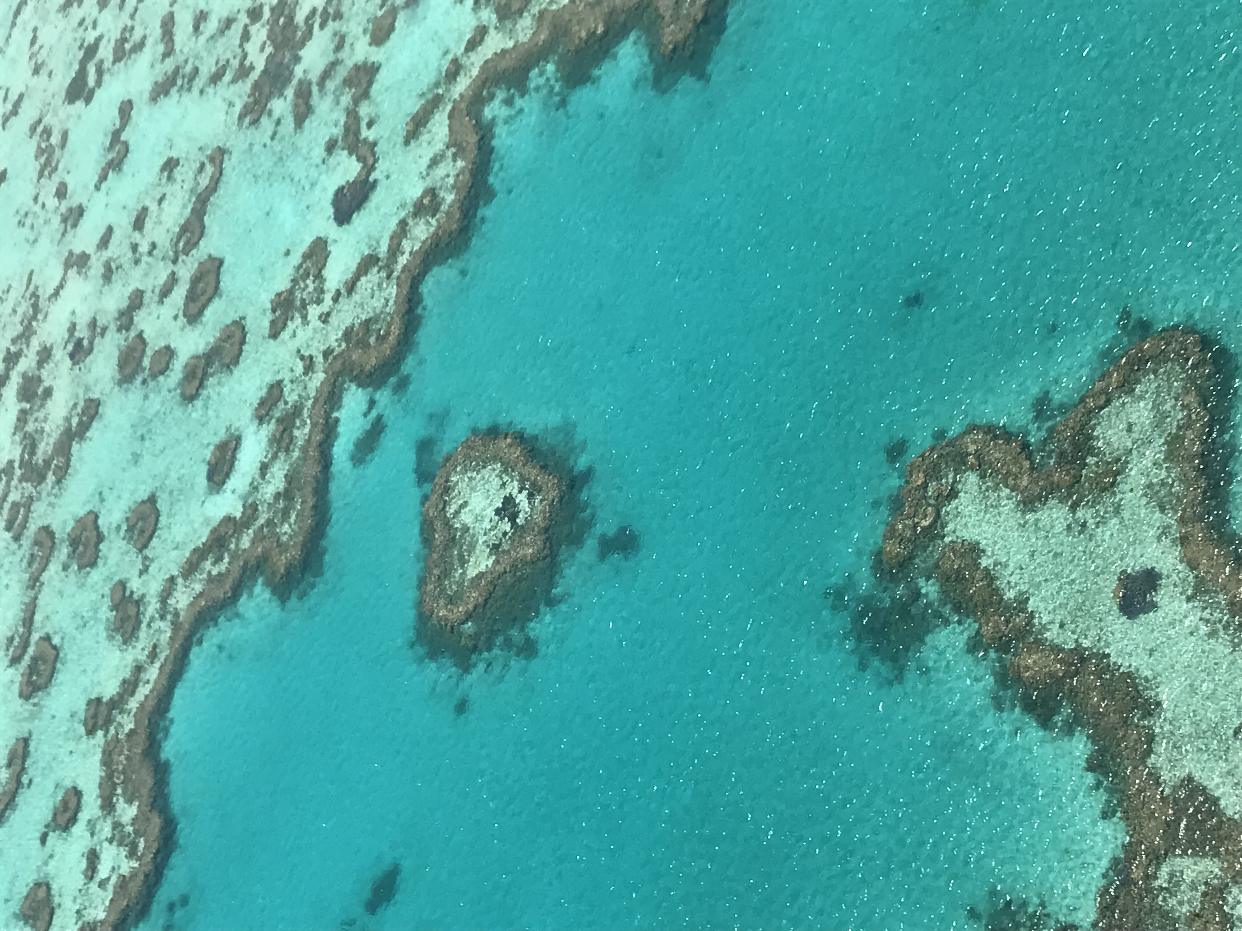 힐링+관광이 가능했던 8박10일 해밀턴아일랜드+멜버른+시드니 허니문!^^