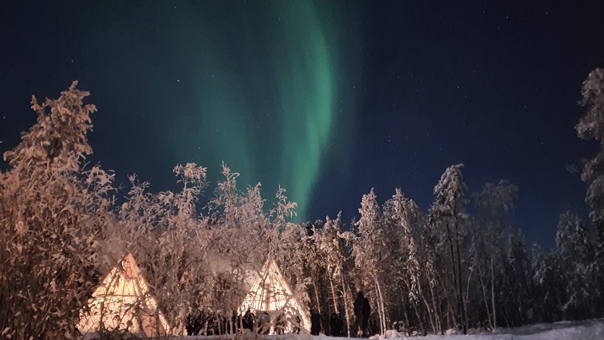 나홀로 옐로나이프, 퀘벡, 몬트리올 여행 후기