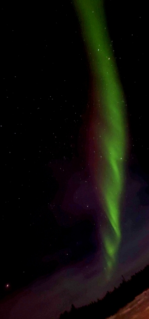 다시 태어난 나의 오로라